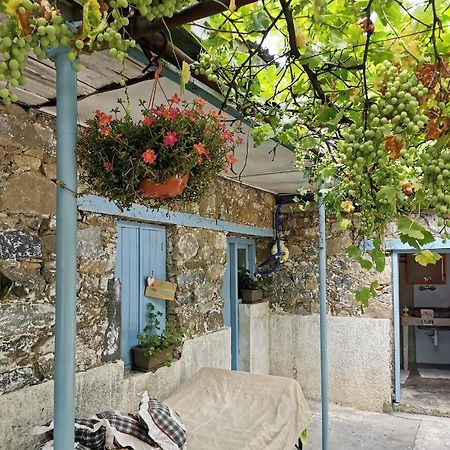 Holiday House פרודרומוס מראה חיצוני תמונה