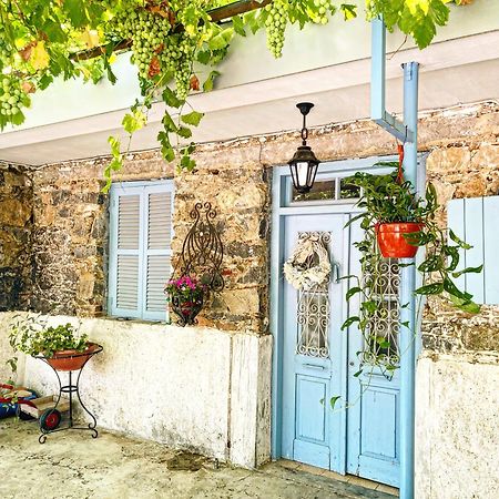 Holiday House פרודרומוס מראה חיצוני תמונה