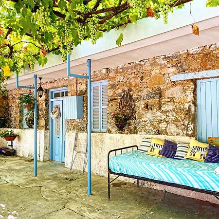 Holiday House פרודרומוס מראה חיצוני תמונה