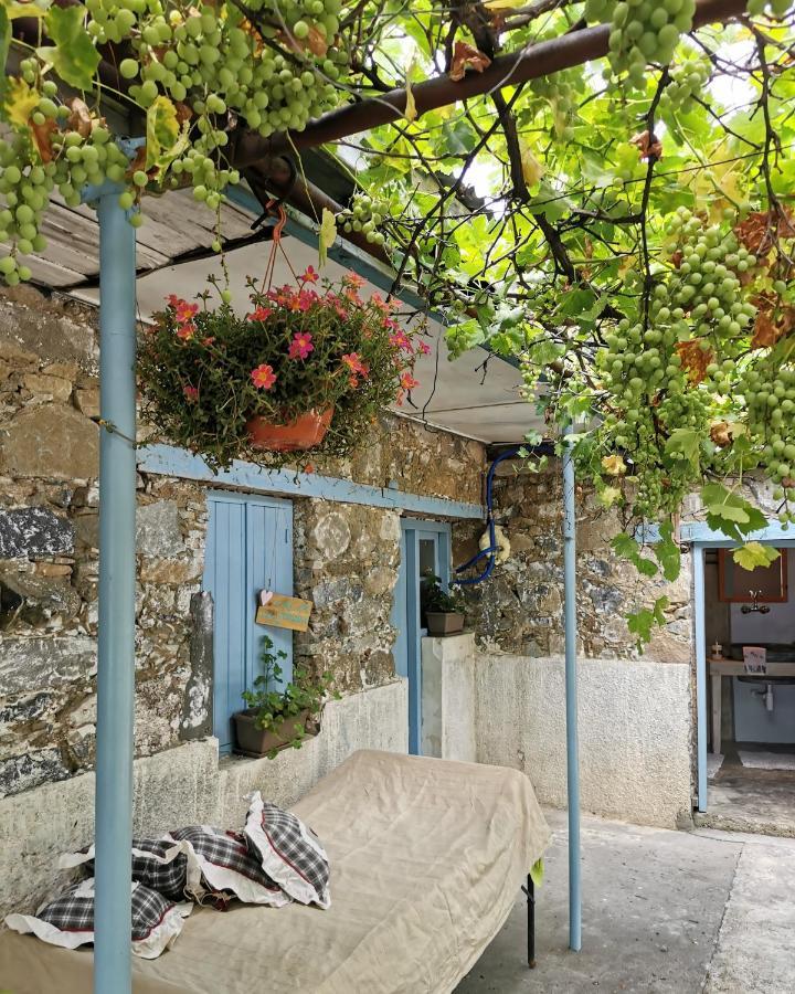 Holiday House פרודרומוס מראה חיצוני תמונה