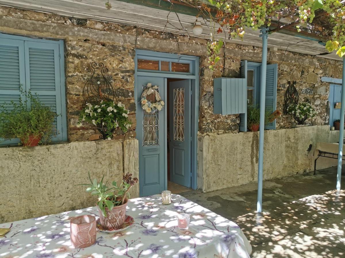 Holiday House פרודרומוס מראה חיצוני תמונה