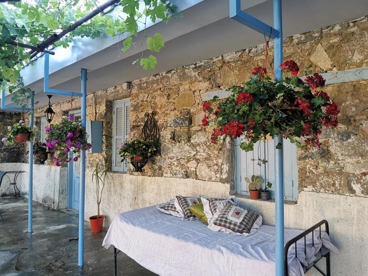 Holiday House פרודרומוס מראה חיצוני תמונה
