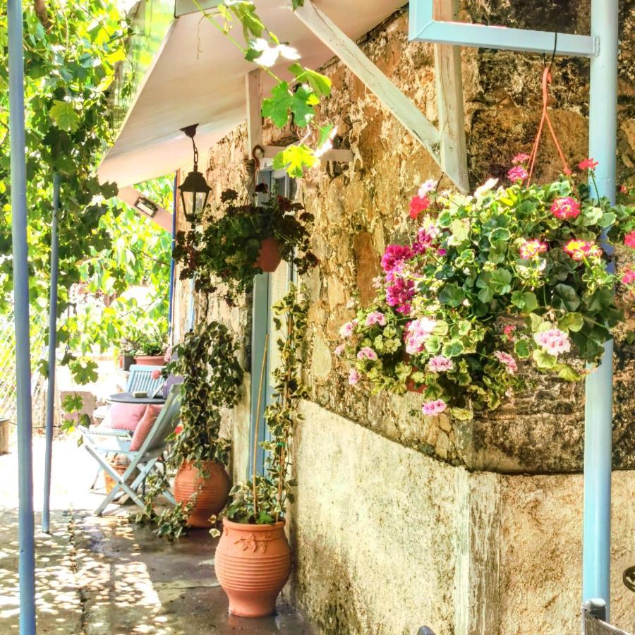 Holiday House פרודרומוס מראה חיצוני תמונה
