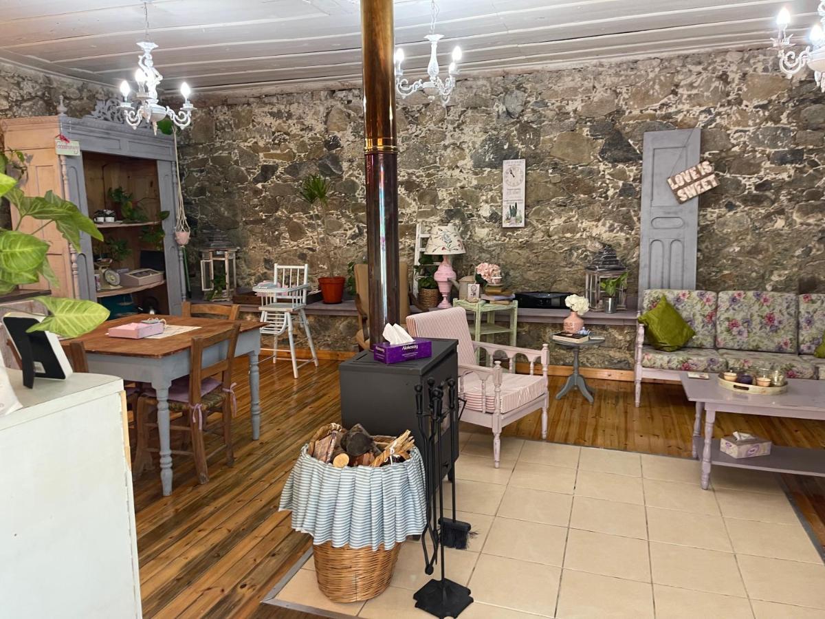Holiday House פרודרומוס מראה חיצוני תמונה