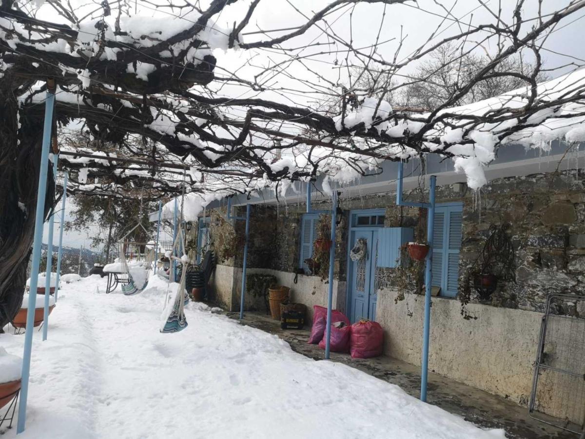 Holiday House פרודרומוס מראה חיצוני תמונה