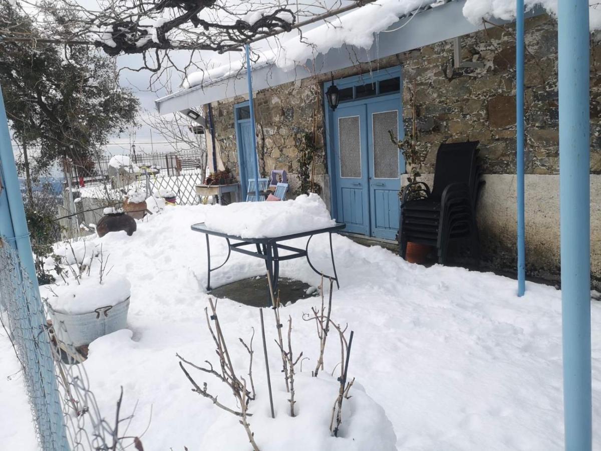 Holiday House פרודרומוס מראה חיצוני תמונה