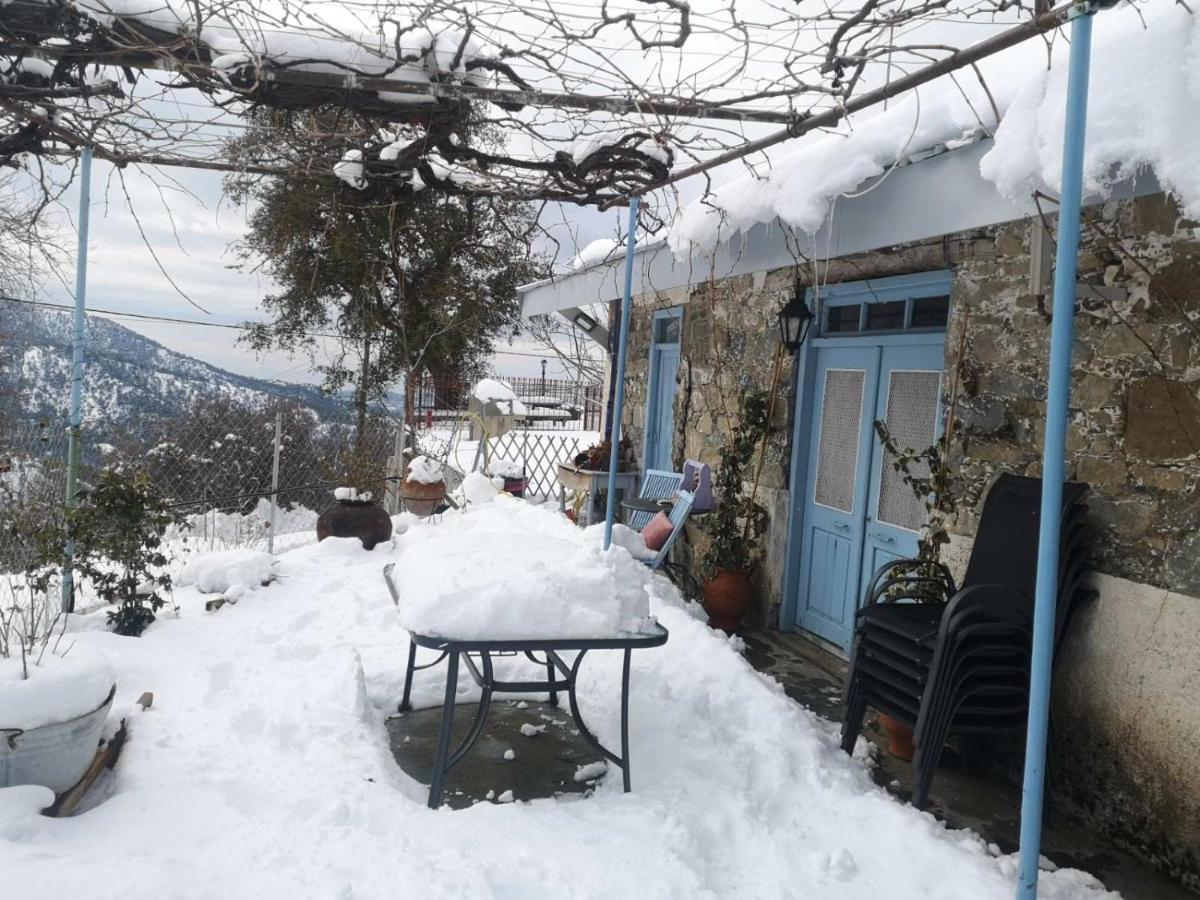 Holiday House פרודרומוס מראה חיצוני תמונה