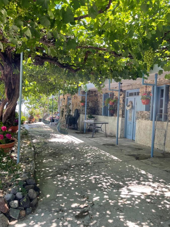 Holiday House פרודרומוס מראה חיצוני תמונה