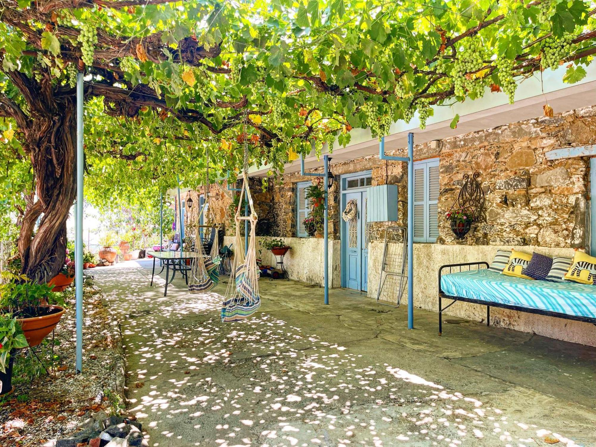 Holiday House פרודרומוס מראה חיצוני תמונה