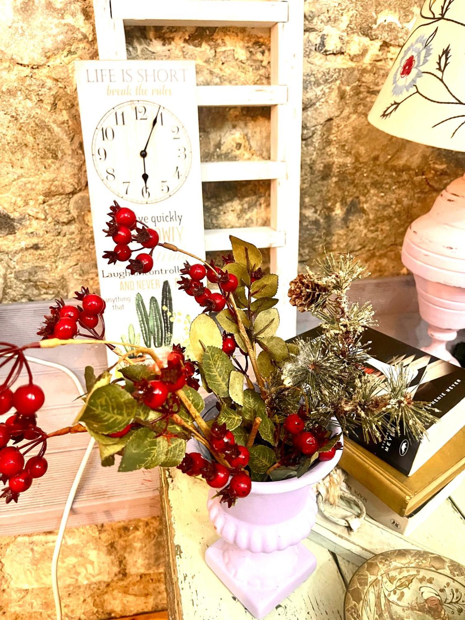 Holiday House פרודרומוס מראה חיצוני תמונה