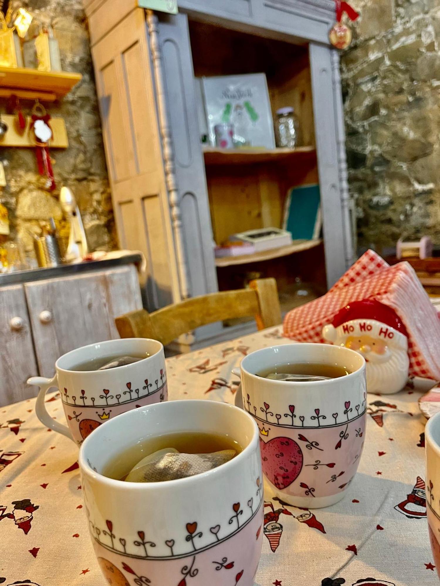 Holiday House פרודרומוס מראה חיצוני תמונה